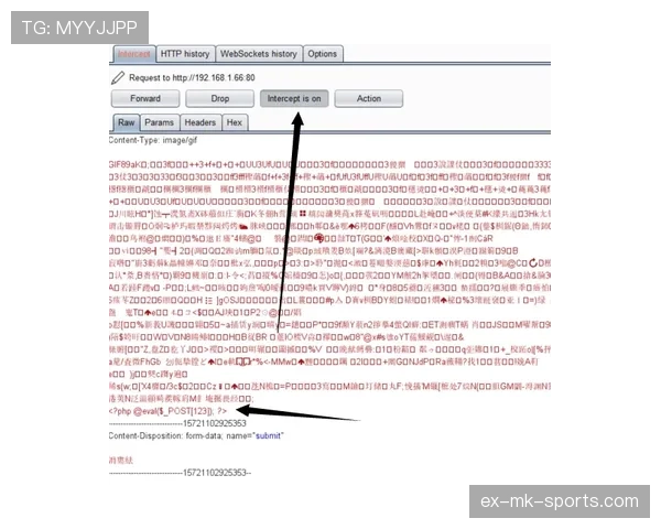 禁区规则详解：裁判判罚标准与关键判定条件解析
